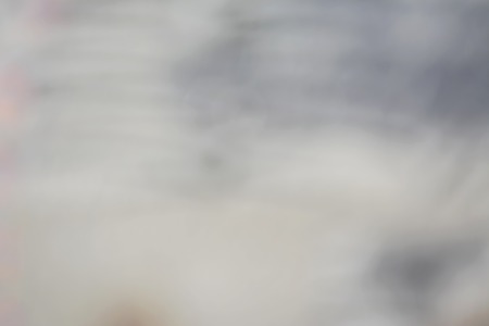 blurred backgroundの写真素材