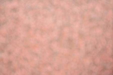 blurred backgroundの写真素材