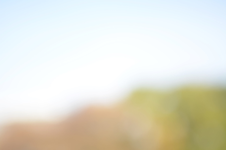 blurred background, autumn , treeの写真素材