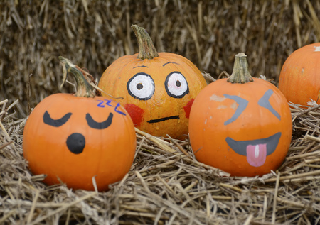  pumpkin with creepy face , outdoor shotの写真素材