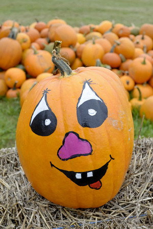  pumpkin with creepy face , outdoor shotの写真素材