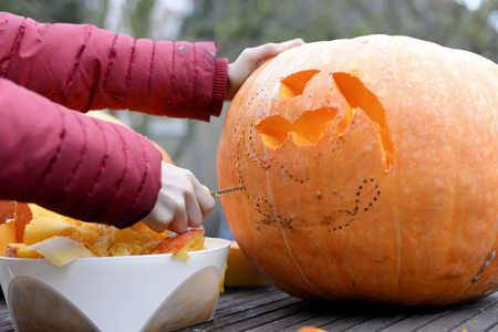 little girl making halloween pumpkinの写真素材
