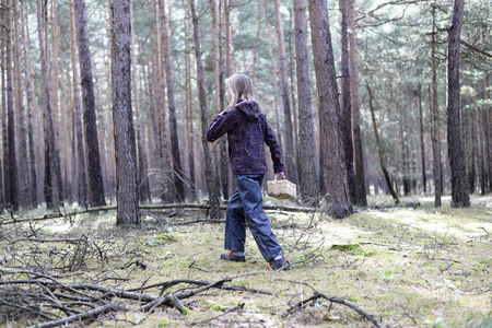  little girl picking mushroomsの写真素材