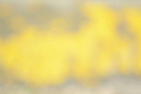 blurred yellow backgroundの写真素材