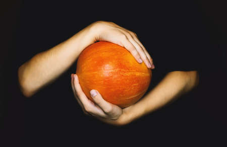 Women's hands hold an orange pumpkin for Halloween on a dark background. A woman with a pumpkin....