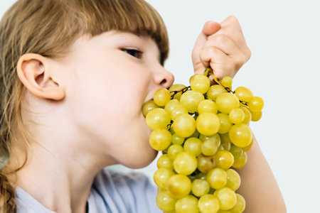 A little girl enjoys delicious, sweet grapes. A hungry little girl greedily grabs juicy grapes with her mouth. Funny little girl eating fresh green grapes at a table on a white background.Healthy foodの写真素材