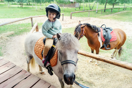 A little girl riding a miniature horse in nature. A charming little girl is sitting on a pony. A cute four-year-old girl is taking outdoor riding lessons at a ranch. Sports entertainment for childrenの写真素材