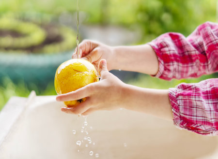 Children's hands wash a sweet apple under running water on a blurred green background. Little girl washes a ripe yellow apple, selective focus. The concept of healthy eating, children's independenceの写真素材
