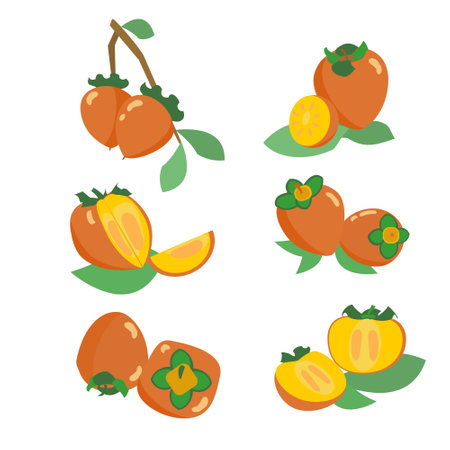 Collection of persimmon icons in orange and yellow colors Set of flat ilustrationsのイラスト素材