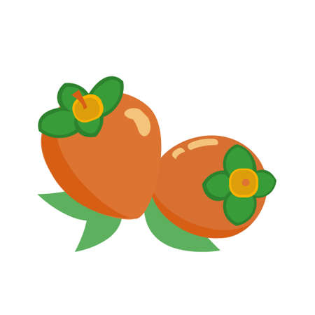 Persimmon icons in orange and yellow colors Two persimmons and leavesのイラスト素材