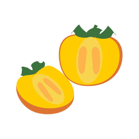 Persimmon icon in orange and yellow colors Two halves of persimmonのイラスト素材