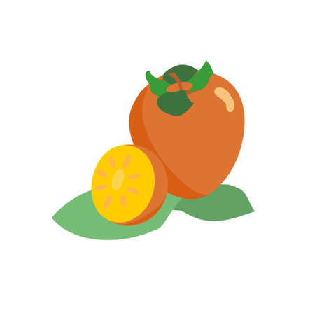 Persimmon icons in orange and yellow colorsのイラスト素材