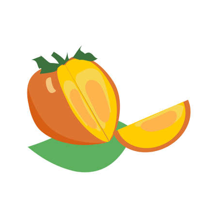 Persimmon icons in orange and yellow colors Whole persimmon and its pieceのイラスト素材
