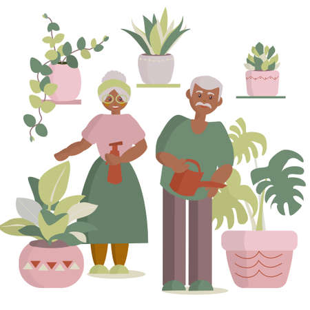 African american Senior couple watering houseplants Vector cartoon illustrationのイラスト素材