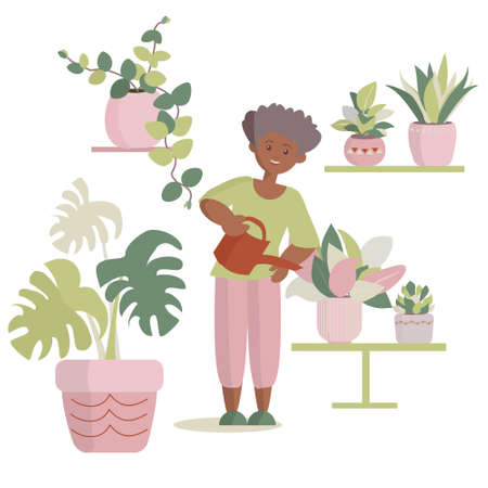 African american woman watering houseplants Vector cartoon illustrationのイラスト素材