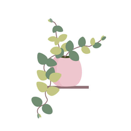 Indoor plants isolation illustration Potted house plant in pink pot Flat vector illustrationのイラスト素材