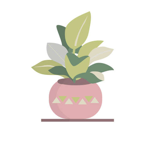Indoor plants isolation illustration Potted house plant Flat vector illustrationのイラスト素材