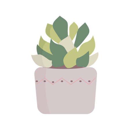 Indoor plants isolation illustration Potted house plants Succulent in grey pot Flat vector illustrationのイラスト素材