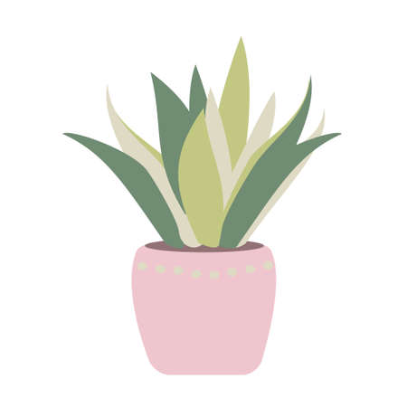 Indoor plants isolation illustration Potted house plants Succulent in pink pot Flat vector illustrationのイラスト素材