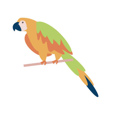 Green orange Tropical parrot seating on branch flat vector isolated illustration iconのイラスト素材