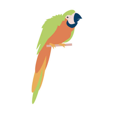 Big Tropical parrot flat vector isolated illustration iconのイラスト素材