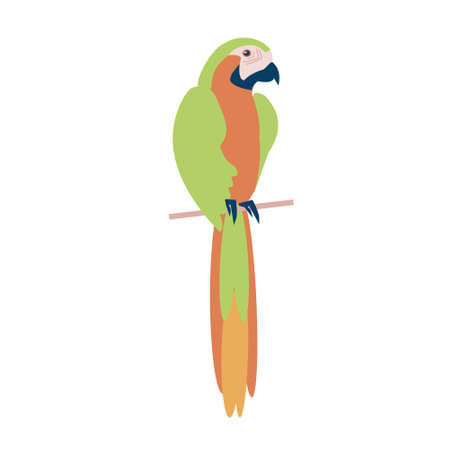Tropical parrot flat vector isolated illustration iconのイラスト素材