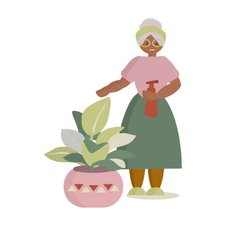 African american Senior woman watering houseplants Vector cartoon illustration on white backgroundのイラスト素材