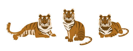 Set of tigers in different poses Cartoon wild animal design illustrationのイラスト素材