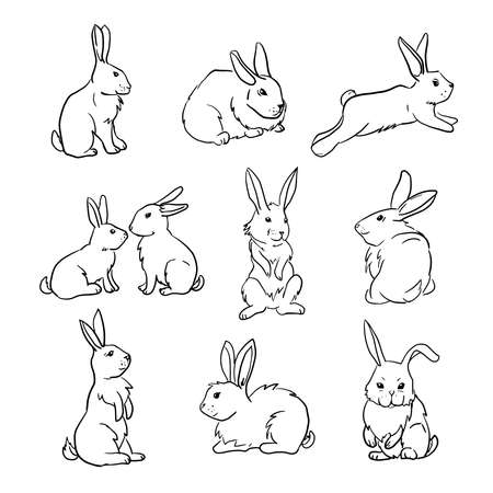 Collection of cute rabbit in different poses. Set of hand drawn vector illustrations of bunnyのイラスト素材