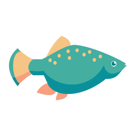 Aquarium mollies fish isolated on white background. Cartoon vector illustrationのイラスト素材