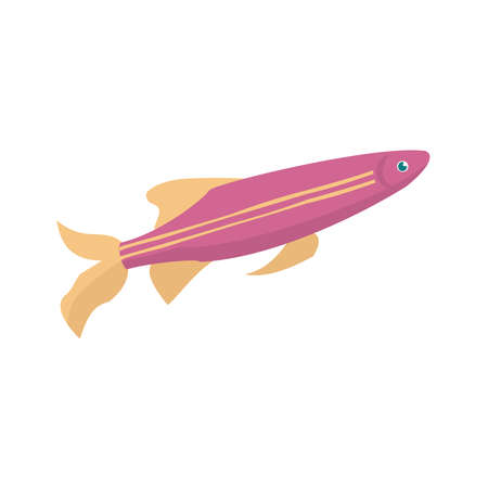 Aquarium fish pink danio isolated on white background. Cartoon vector illustrationのイラスト素材