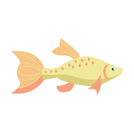 Aquarium exotic fish isolated on white background. Cartoon vector illustrationのイラスト素材