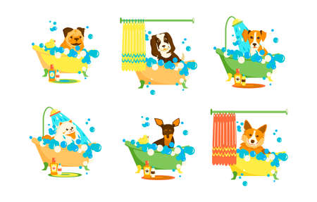 Doggy in bubble bath. Bathroom washing for domestic animal. Grooming service. Isolated cartoon character on white backgroundのイラスト素材