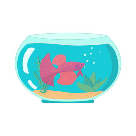 Glass fishbowl with fighting fish Cartoon vector illustration on white backgroundのイラスト素材