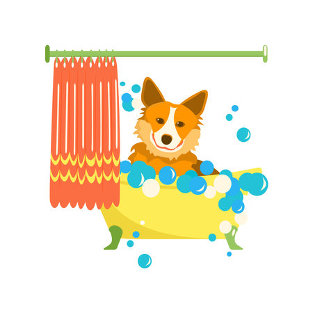 Corgi in bubble bath. Bathroom washing for domestic animal. Grooming service. Cartoon vector illustration on white backgroundのイラスト素材