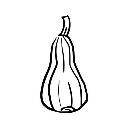 Pumpkin icon Vector illustration on white backgroundのイラスト素材