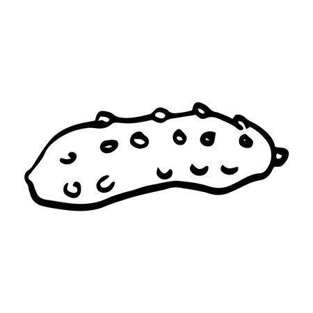 Cucumber icon Vector illustration on white backgroundのイラスト素材