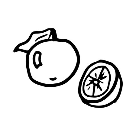 Orange and half of fruit Vector illustration on white backgroundのイラスト素材