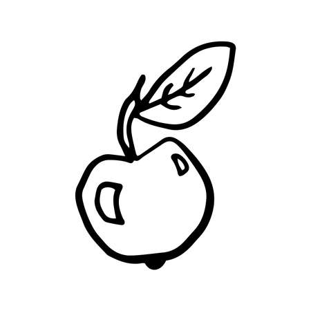 Apple icon Vector illustration on white backgroundのイラスト素材