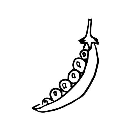 Pea string icon Vector illustration on white backgroundのイラスト素材