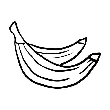 Two bananas Vector illustration on white backgroundのイラスト素材