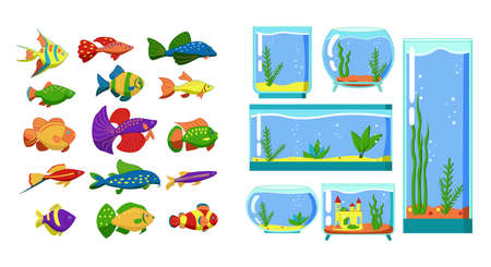 Aquarium fish and Glass Aquarium collection isolated on white background. Cute cartoon vector illustration set.のイラスト素材