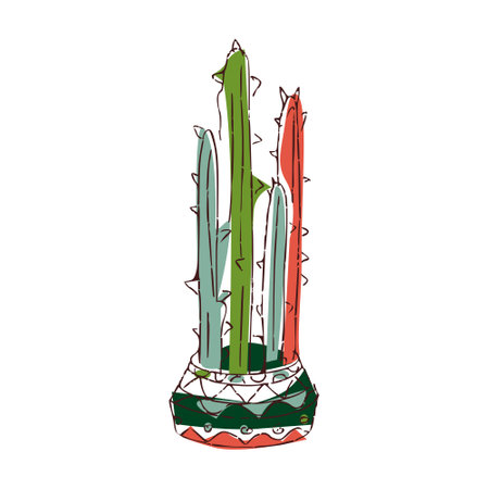 Indoor plants isolated colorful hand draw illustration on white background Cactus Potted houseplantsのイラスト素材