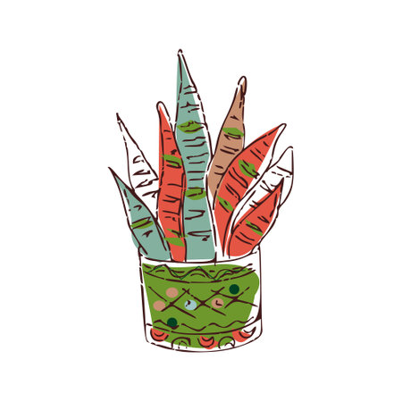 Indoor plants isolated colorful hand draw illustration on white background Sansevieria Potted houseplantsのイラスト素材