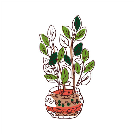 Indoor plants isolated colorful hand draw illustration on white background Zamioculcas Potted houseplantsのイラスト素材