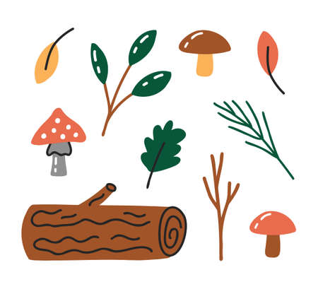 Forest elementsのイラスト素材