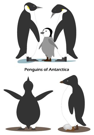 Penguin Aptenodytes is a family with a cub. Penguin Pygoscelis adeliae with egg.Antarctic animals.のイラスト素材