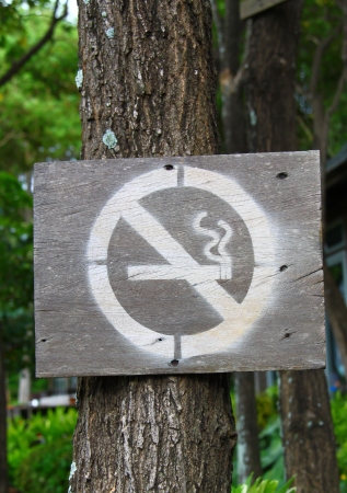 No smoking sign in parkの写真素材