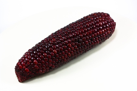 cooked red corn cob isolated on a white background