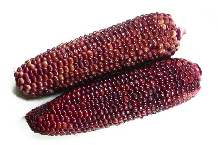 boiled red corn isolated on the white background